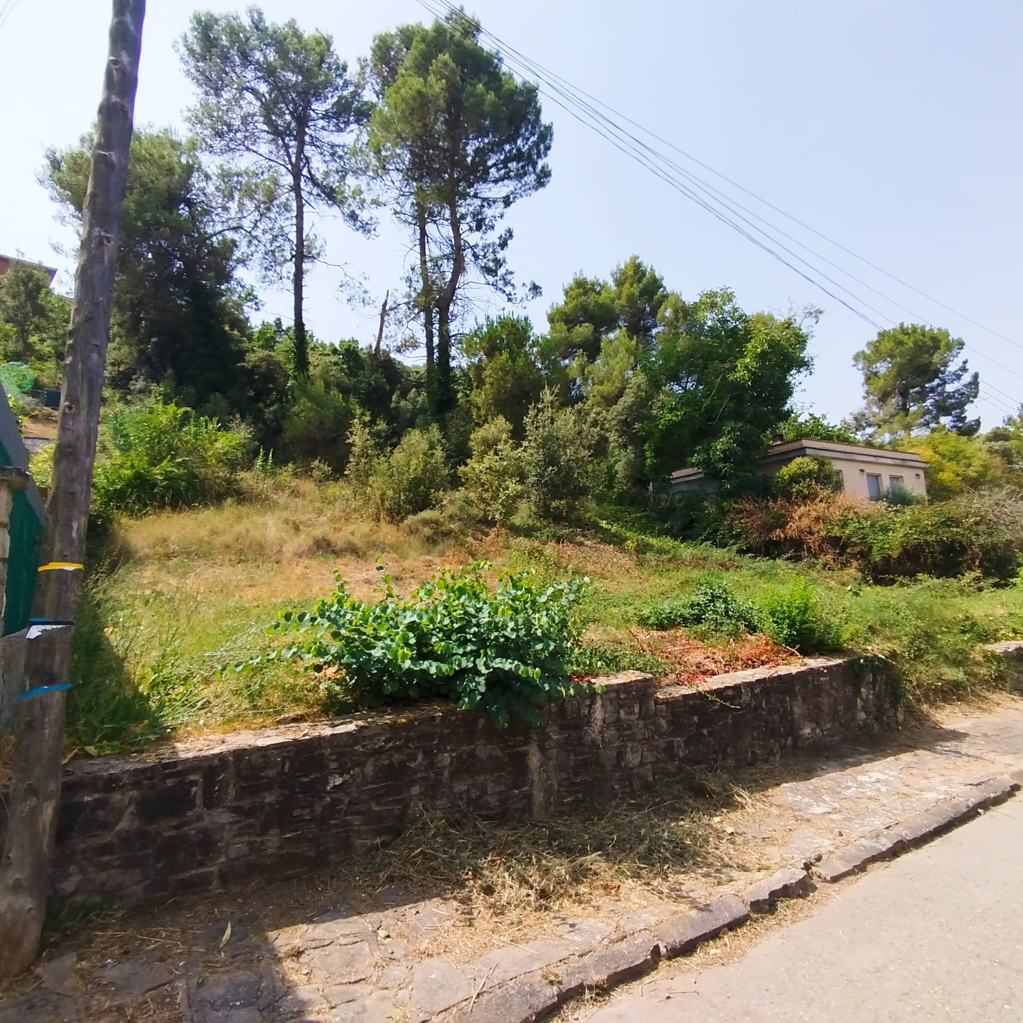 Terreny urbà per a casa 4 vents