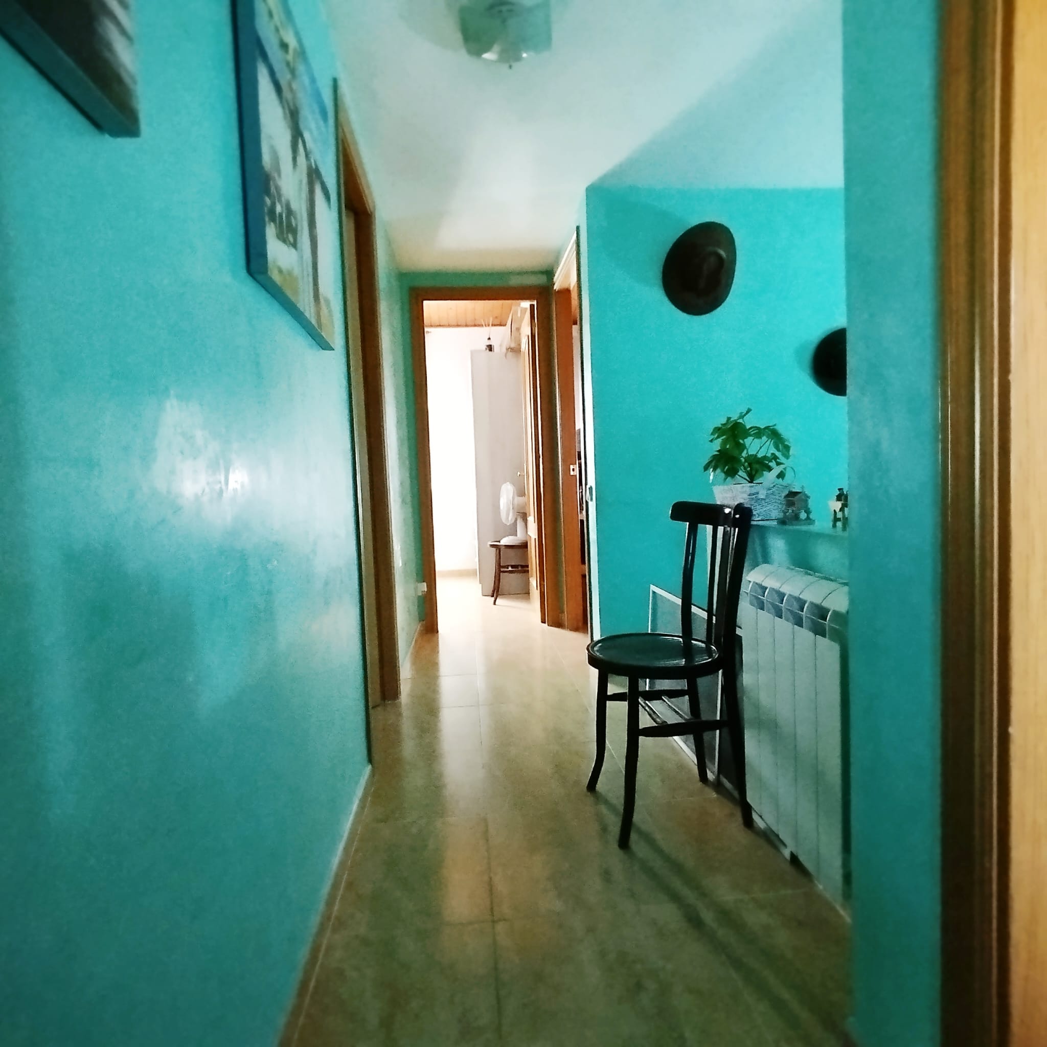Casa adossada amb terrassa